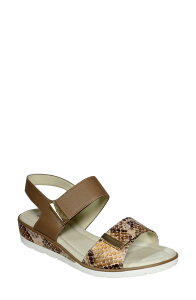 �_�C�r�b�h�e�C�g ���f�B�[�X �V���[�Y �q�[�� �T���_�� David Tate Civic Slingback Sandal Camel Multi �L������