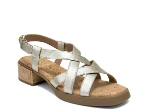 �G�A���\�[���Y ���f�B�[�X �V���[�Y �T���_�� �q�[�� Aerosoles Daily Low Heeled Sandal Gold Metallic �S�[���h