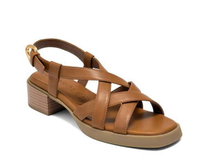 �G�A���\�[���Y ���f�B�[�X �V���[�Y �T���_�� �q�[�� Aerosoles Daily Low Heeled Sandal Dark Brown �u���E��