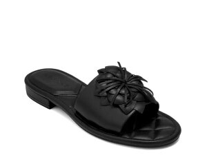 �G�A���\�[���Y ���f�B�[�X �V���[�Y �T���_�� �v���b�g�t�H�[�� Aerosoles Chancey Platform Sandal Black �u���b�N