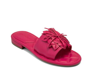 �G�A���\�[���Y ���f�B�[�X �V���[�Y �T���_�� �v���b�g�t�H�[�� Aerosoles Chancey Platform Sandal Magenta �}�[���^