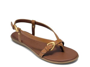 �G�A���\�[���Y ���f�B�[�X �V���[�Y �T���_�� AerosolesIride Sandal Dark Brown �u���E��