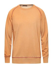 【送料無料】 ザ ジジ メンズ パーカー・スウェット アウター Sweatshirt Camel