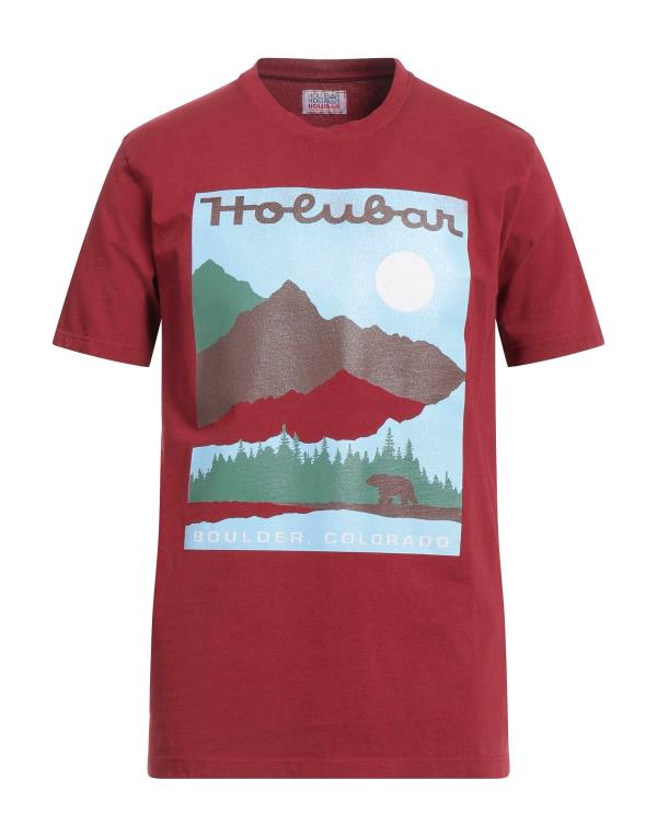 楽天市場】【送料無料】 ホルバー メンズ Tシャツ トップス T-shirt