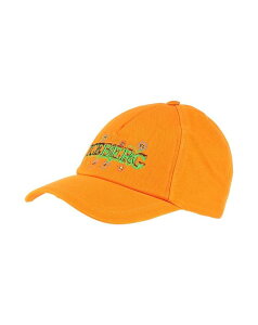 �A�C�X�o�[�O �����Y �A�N�Z�T���[ �X�q ICEBERG �X�q Orange �I�����W