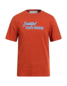 【送料無料】 ゴールデングース メンズ Tシャツ トップス T-shirt Rust