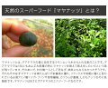 MAYANUTS(マヤナッツコーヒー風ノンカフェイン飲料)【ノンカフェインコーヒーインスタント粉】
