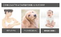 日の出PRODUCTSホタテ貝殻の粉