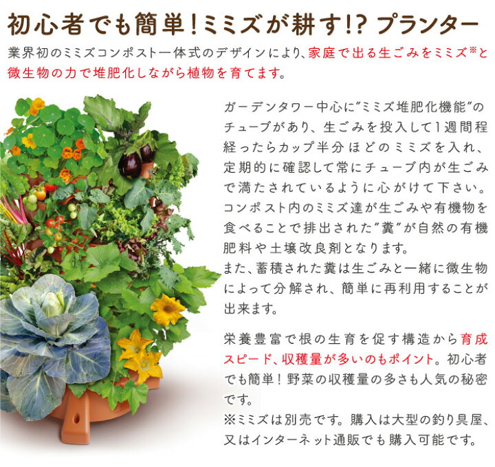 ワケギ栽培のトラブルシューティング