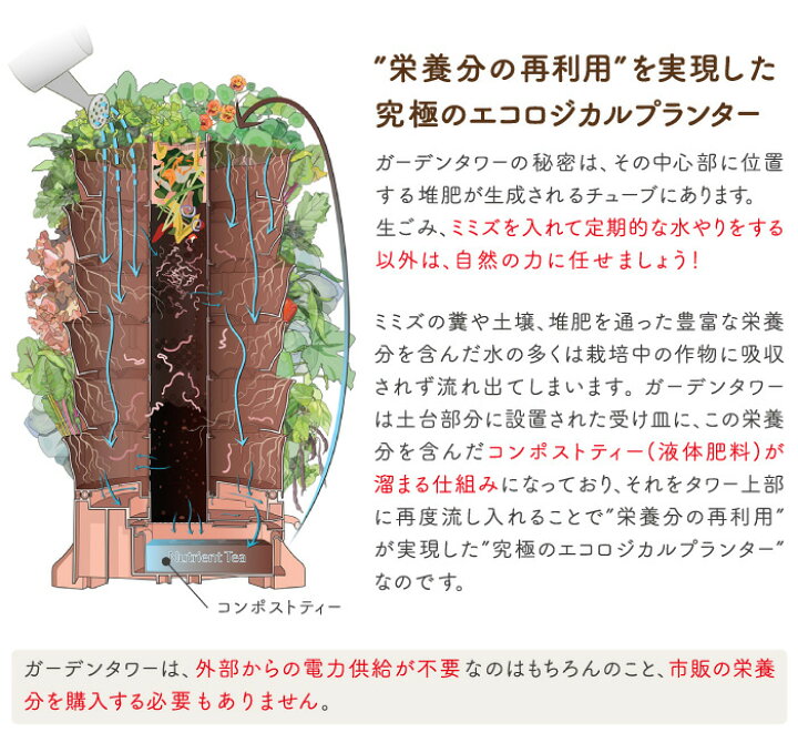 プランターで簡単！わけぎ栽培の究極ガイド