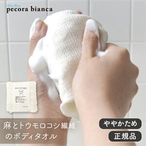 pecora bianca yRrAJ {fB^I +Ƃ낱i₩߁jyGR {f ~[ {fBPAObY TXeiu  Y ̓ Mtgz