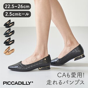 PICCADILLY�i�s�J�W���[�j�p���v�X �|�C���e�b�h 2.5cm�y���[�q�[�� �q�[�� �R���t�H�[�g �p���v�X ���ꂢ�� �I�t�B�X �r�W�l�X �ɂ��Ȃ� ���Ȃ� �J�W���A�� �t�H�[�}�� �� �u���b�N �|�C���e