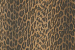 yAEgbgZ[z CNV[g ؖ  ؖڒ V[g hCc d-c-fix 45cmx200cm tH[V[g Lb` ʏ ʑ gC  N[[bg hA Ki Ƌ Ɠd CeA