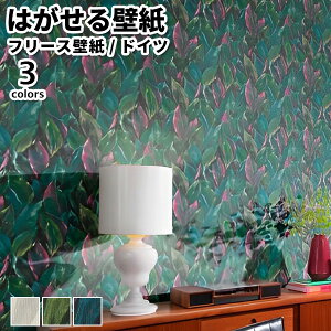 ǎ Aǎ rasch Curiosity 53cmx10m S3F ͂ǎ \Ă͂ǎ t[Xǎ  ւ diy k  CeA hCc bV {^jJ ԕ G  x[W O