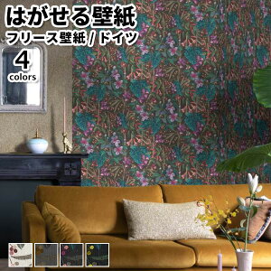 ǎ Aǎ rasch Curiosity 53cmx10m S4F ͂ǎ \Ă͂ǎ t[Xǎ  ւ diy k  CeA hCc bV ԕ AeB[N  sN O