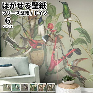 壁紙 輸入壁紙 rasch Curiosity 巾318cm 高さ300cm 全6色 はがせる壁紙 貼ってはがせる壁紙 フリース壁紙 おしゃれ 張り替え diy 北欧 賃貸 インテリア ドイツ製 ラッシュ コルク コンクリート ホワイ