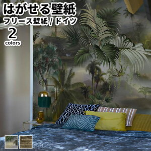 ǎ Aǎ rasch Curiosity 371cm 300cm S2F ͂ǎ \Ă͂ǎ t[Xǎ  ւ diy k  CeA hCc bV {^jJ Aj}  
