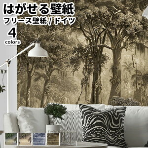 ǎ Aǎ rasch Curiosity 318cm 265cm S4F ͂ǎ \Ă͂ǎ t[Xǎ  ւ diy k  CeA hCc bV {^jJ Aj}  