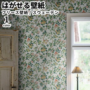 ǎ Aǎ BORASTAPETER Icons 53cmx10m S1F ͂ǎ \Ă͂ǎ t[Xǎ  diy k  CeA XEF[f {X^y[^[  ʎ A S  O