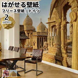 ǎ Aǎ rasch Indian Style 371cmx2.65m S2 ͂ǎ \Ă͂ǎ t[Xǎ  ւ diy k  CeA hCc bV n GXjbN l Kl[V