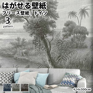 ǎ Aǎ rasch Lirico 424cmx300cm S3 8 ͂ǎ \Ă͂ǎ t[Xǎ  ւ diy k  CeA hCc bV {^jJ Aj} u[ b