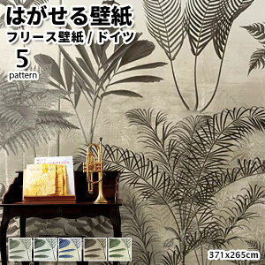 ǎ Aǎ rasch Lirico 371cmx265cm S5 7 ͂ǎ \Ă͂ǎ t[Xǎ  ւ diy k  CeA hCc bV {^jJ O[ CG[ x