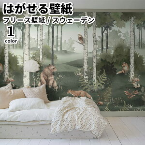 ǎ Aǎ BORASTAPETER Newbie II 6Ѓpl 294cm 265cm S1F ͂ǎ \Ă͂ǎ t[Xǎ  diy k  CeA XEF[f {X^y[^[  