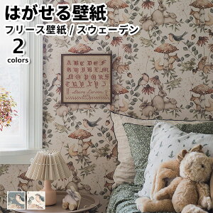 ǎ Aǎ BORASTAPETER Newbie II 49cmx10m S2F ͂ǎ \Ă͂ǎ t[Xǎ  diy k  CeA XEF[f {X^y[^[  A ETM X 