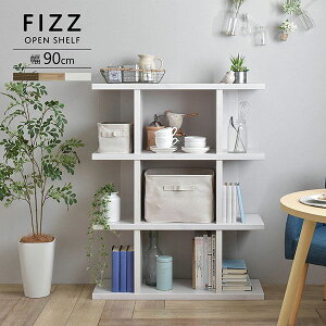 VFt I[vVFt bN ~h^Cv90cm Fizz tBY S3F shelf rack