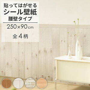 mxEH[V[g ǃ^Cv 250cm×90cm S4 { ڒ܂◼ʃe[vsv ȒP{H \Ă͂ OK  h CNV[g ͗lւ DIY ͂ ȒPJbg @ 