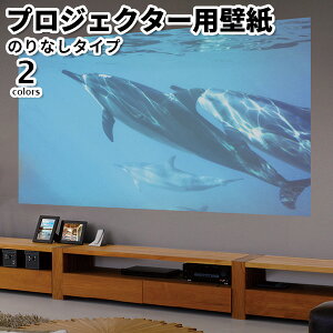 ǎ ̂Ȃ vWFN^[pǎ gL pCu 2023-2026 BULLTEX  white 92cmx1mPʐ؂蔄 ǎ NX ւ diy tH[ Yǎ ̂Ȃ