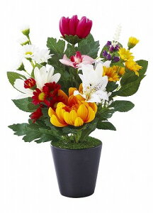 SC�G�}���H �������������ԁm��n�i�A�[�e�B�t�B�V�����t�����[�j