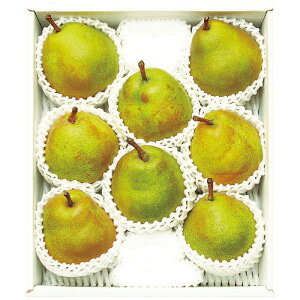 ݉̎R`YEtX2.5kg@@ۏʁkXEE͂͂o܂BY11{肨͂ɂȂ܂Bؓ12/13܂ŁB