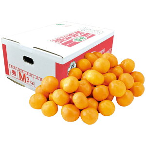 呺_ F{Y V݂3kg@@}}kXEE͂͂o܂BY12{肨͂ɂȂ܂Bؓ12/16܂ŁB