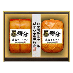 qnx nnl KA-51A kXEE͂͂o܂B