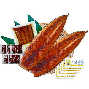 v[[hbO t@[  YȂăZbgiiJztj PFU-021A kXEE͂͂o܂B