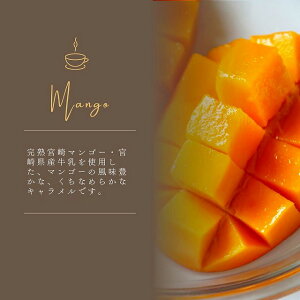 ykCYz[Xgr[tl 3823-50 kXEE͂͂o܂B