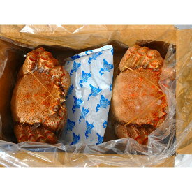 網走水産 北海道産 毛がに2尾セット APID-027 ●北街道・沖縄・離島はお届け出来ません。