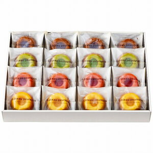 �䌅�� �K�g�[�v���| 16�� GP2000 GP2000