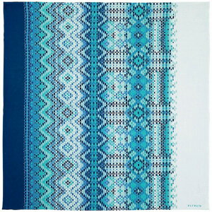 ӂ낵 ANAY 053403iANAYj