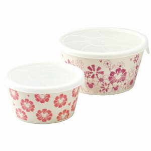 fBYj[ t[Et[WpbN2_Zbg 514629