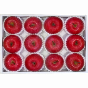 _Cʉ XY 񂲁kXEE͂͂o܂BY