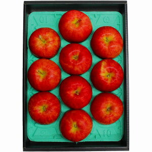 MBTӂ񂲁kXEE͂͂o܂BY