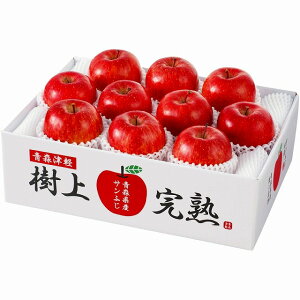 XY ㊮nTӂ񂲁kXEE͂͂o܂BY