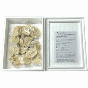 TCYt[Y ^ӂ̓gkXEE͂͂o܂BY