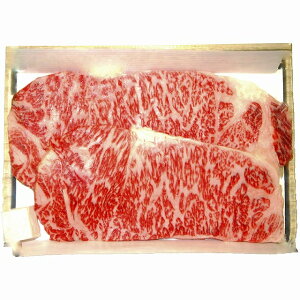 sE^ YјaT[CXe[LkXEE͂͂o܂BY