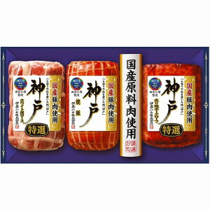 ɓn _˃MtgkXEE͂͂o܂BY