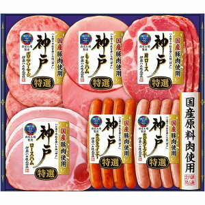 ɓn _˃MtgkXEE͂͂o܂BY