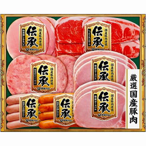 �ɓ��n�� �`���M�t�g���k�X���E����E�����͂��͂��o���܂���B���Y��