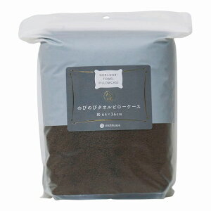 10%�|�C���gUP�^��nishikawa�^�̂т̂у^�I���s���[�P�[�X���J���[�^�u���E��